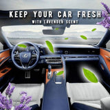 Car Interior Cleaner