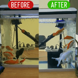 Eco-Aquarium Water Purifier Block